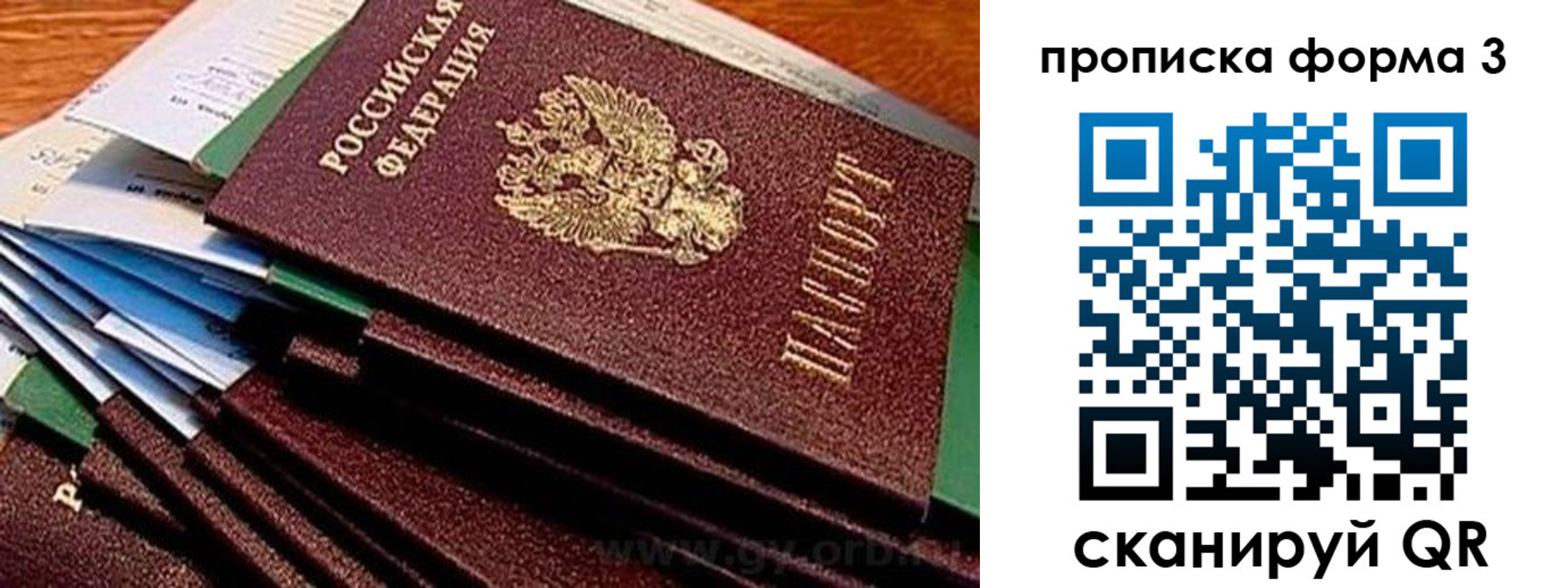 прописка иностранных граждан в Шелехове